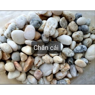 sỏi trang trí bể cá cảnh 1kg