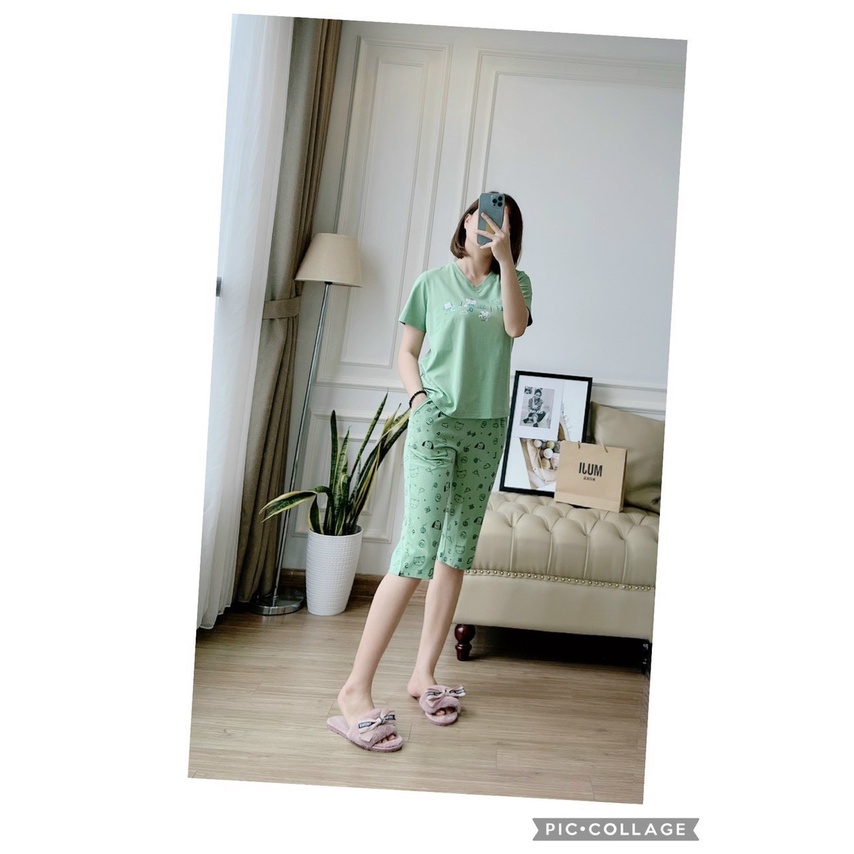 A923- BỘ NỮ ÁO PHÔNG CỔ TIM QUẦN NGỐ HÌNH MÈO