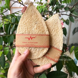 Xơ mướp rửa bát/ miếng rửa bát