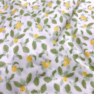 VẢI THÔ KATE LỤA 🍋 V155