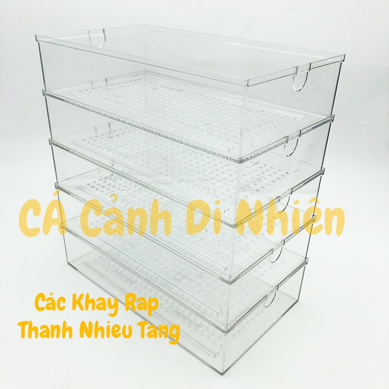 Khay lọc dàn mưa lọc nước hồ cá bằng nhựa mica 30x17x7 cm