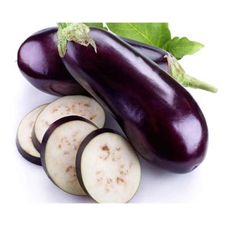 Hạt giống cà tím - Rau củ quả trồng tại vườn, sân thượng, nông trang, ban công