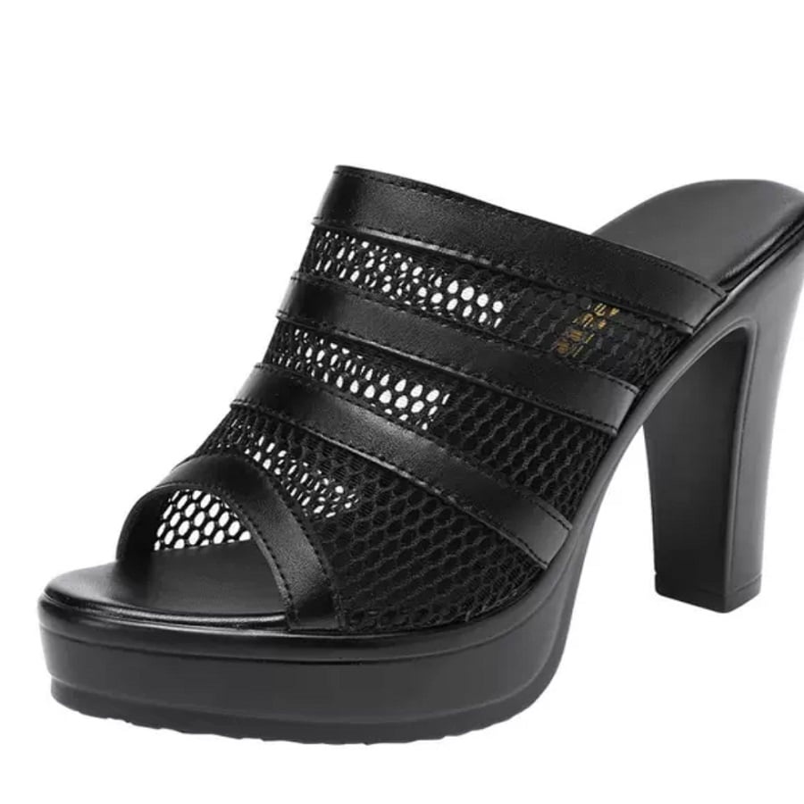 DÉP CG PHỐI LƯỚI 10P