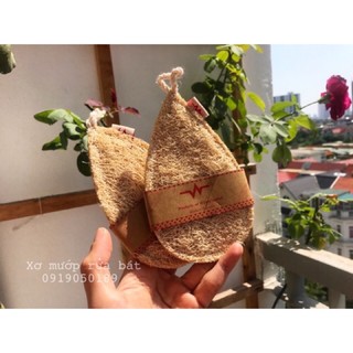 Xơ mướp rửa bát/ miếng rửa bát