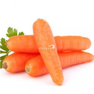 3GR - HẠT GIỐNG CÀ RỐT F1