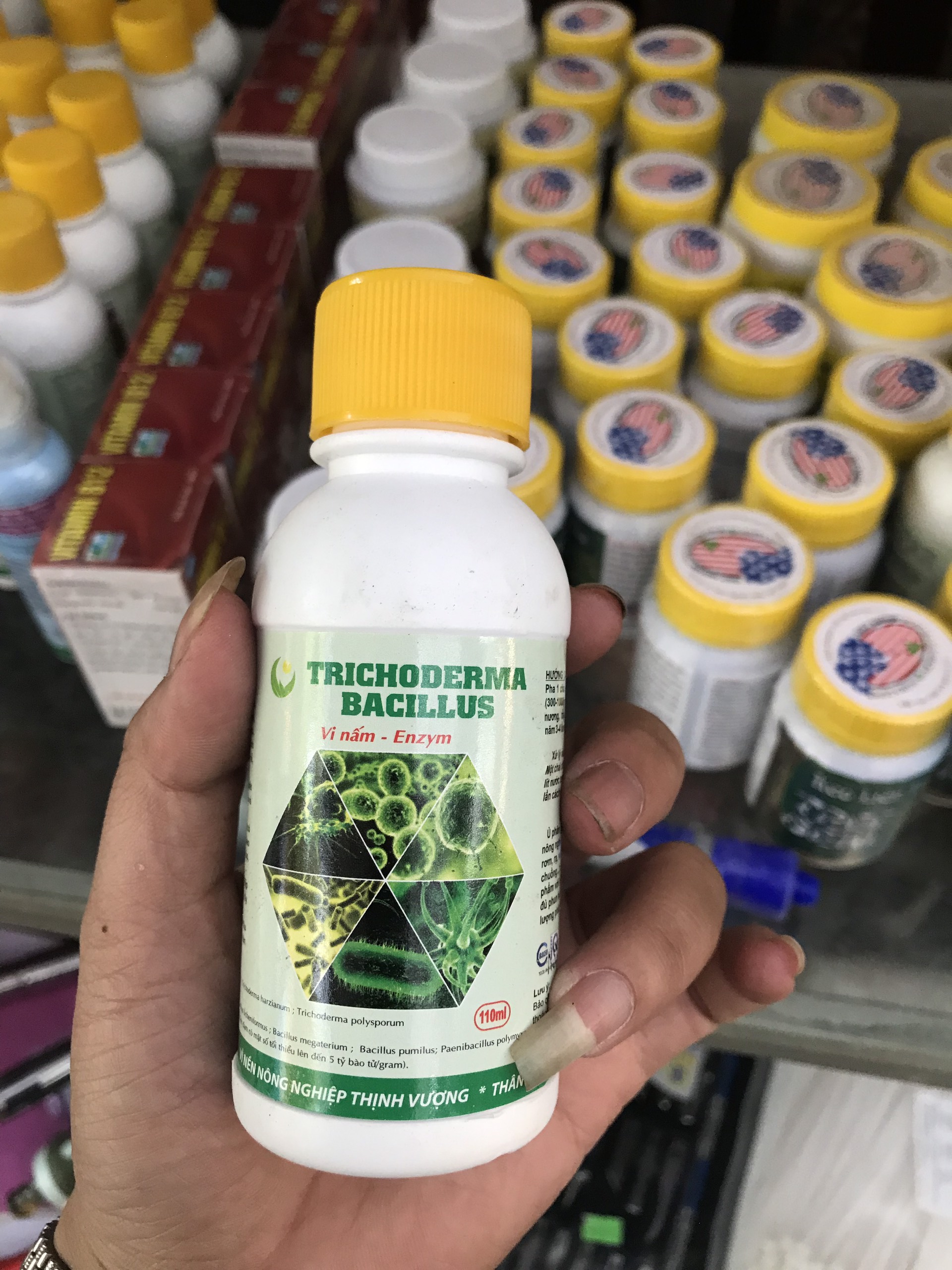 Chế phẩm Trichoderma Bacillus dạng nước ức chế nấm chai 100ml