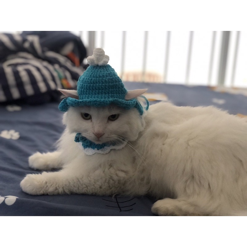 Vòng cổ bèo 11