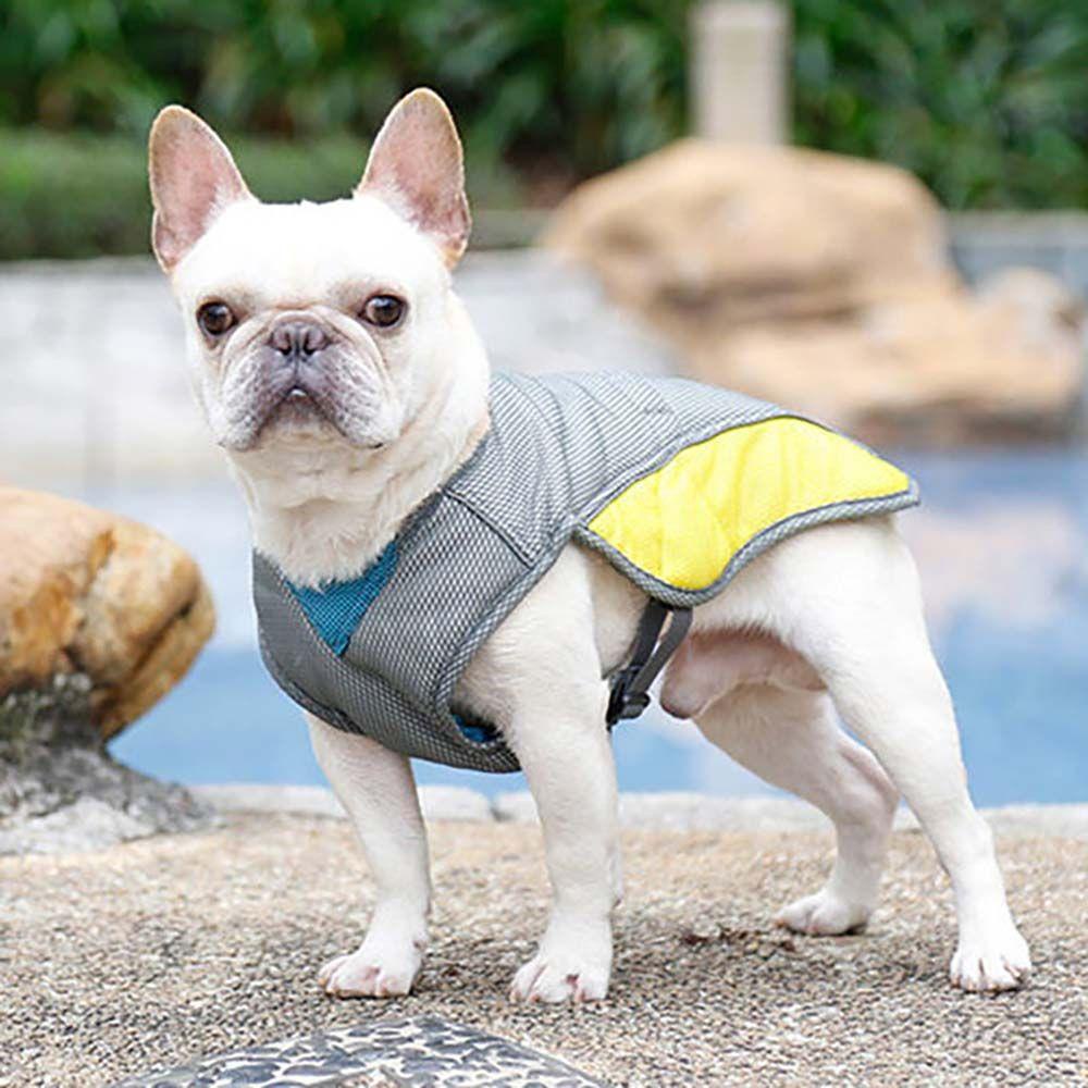 GIOVANNI Áo Thun Lưới Làm Mát Tháo Lắp Nhanh Dành Cho Cún Cưng Cỡ Nhỏ / Vừa / Lớn