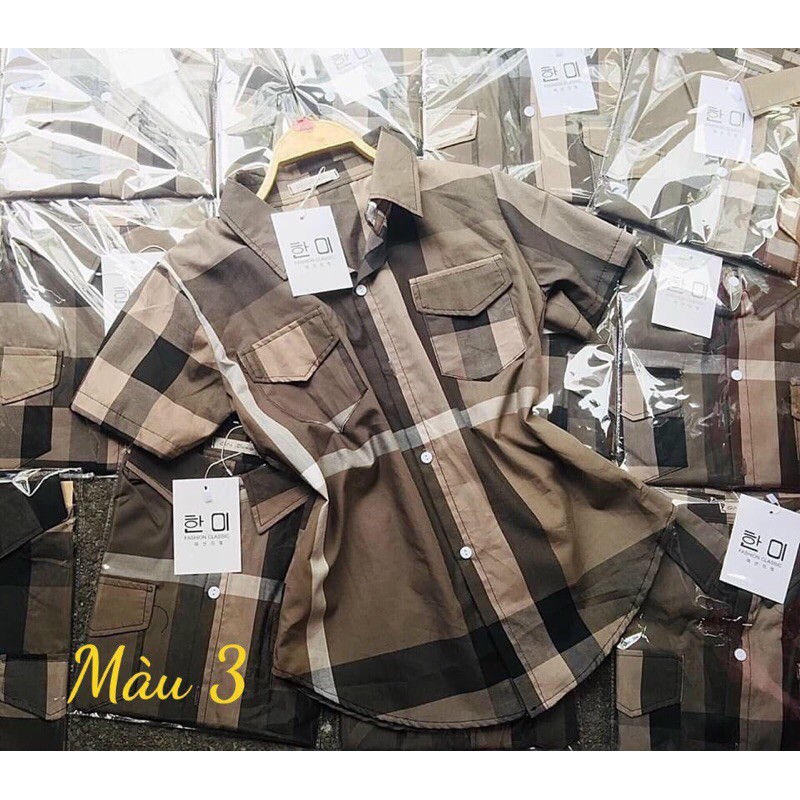 Sơ mi brr bigsize 55-90kg | BigBuy360 - bigbuy360.vn