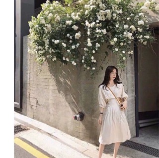 ĐẦM MIDI ĐAN EO
