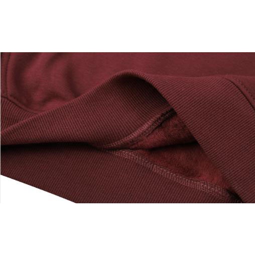 Áo hoodie Nelly nỉ lót lông in hình "ART ALISS" áo nỉ