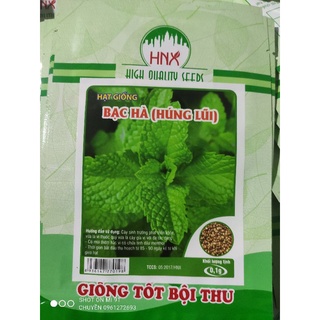 Hạt giống rau gia vị (thì là, hành hoa, mùi tía, húng quế, tía tô, bạc hà, kinh giới) và rau cải cúc, cải mơ, bó xôi...