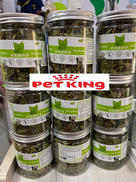 Cỏ Bạc Hà(Catnip) cho Mèo Yêu hộp Lớn