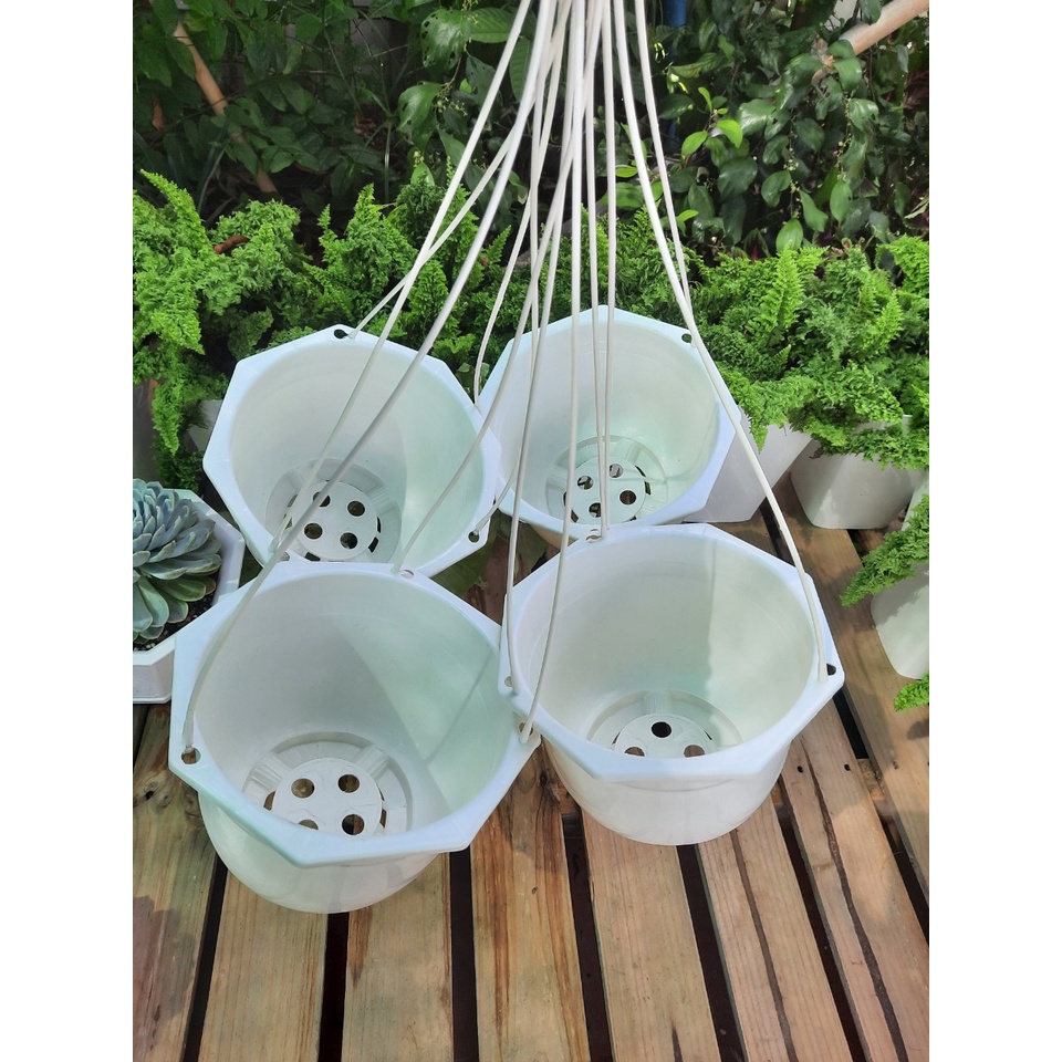 Chậu treo trồng hoa trang trí 20x16cm