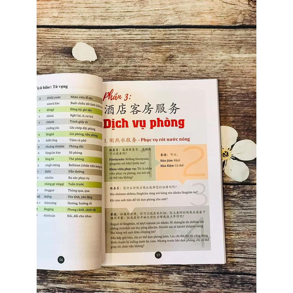 Sách - Combo: Gửi Tôi Thời Thanh Xuân + Hội thoại giao tiếp tiếng Trung ngành du lịch khách sạn +DVD tài liệu