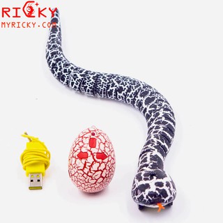 Rắn săn mồi điều khiển từ xa - di chuyển giống thật