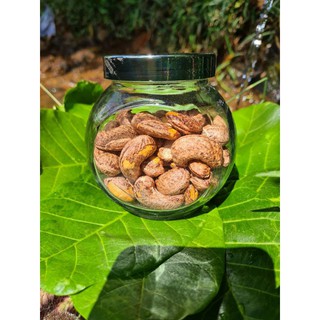 Điều size A cồ rang muối Bình Phước