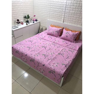 Bô chăn ga trần bông dày dặn