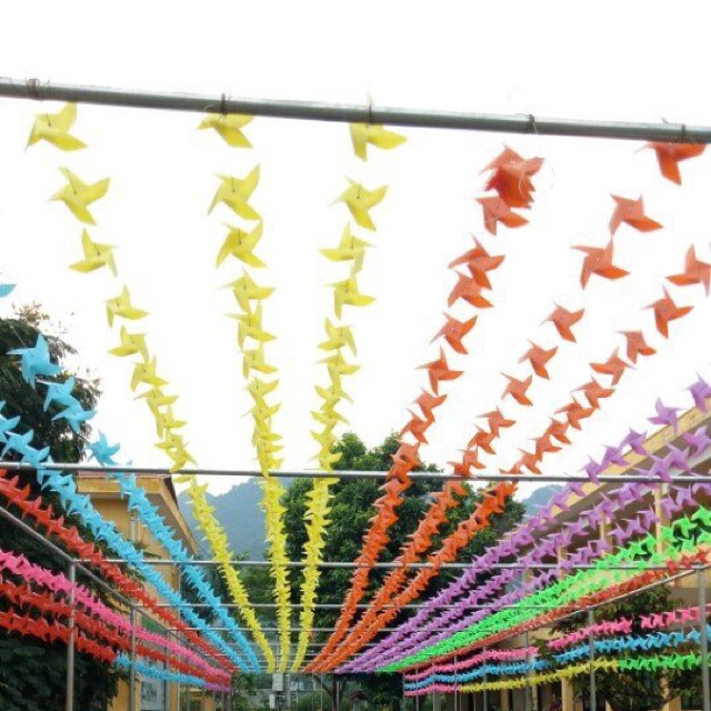 50 chong chóng dây