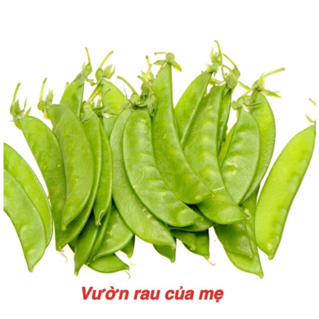 Hạt giống đậu hà lan 50g