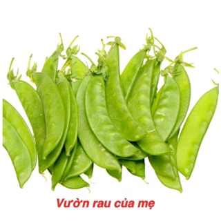 Hạt giống đậu hà lan 50g