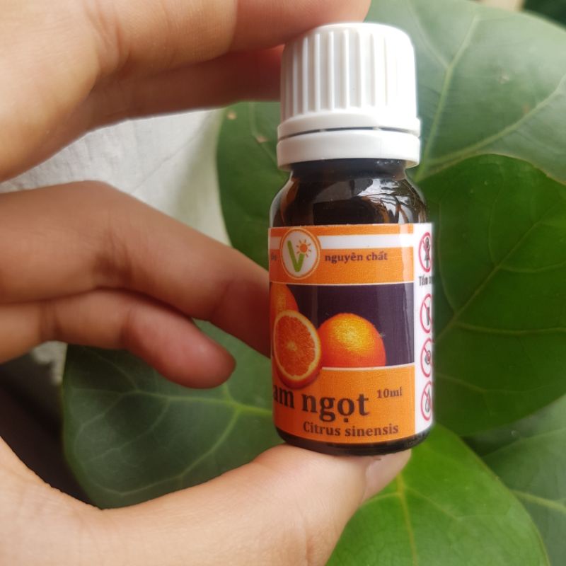 Tinh dầu hữu cơ nguyên chất Cam ngọt, Oải Hương Lavender - Nhà Vừng