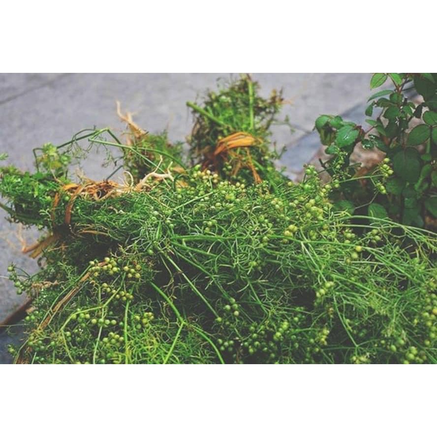 (Tặng túi lưới đi kèm) Xà Bông Sinh Dược Mùi Già -Xà Phòng Sinh Dược Mùi Tết - Mang Hương Tết- Tắm Tất Niên | BigBuy360 - bigbuy360.vn