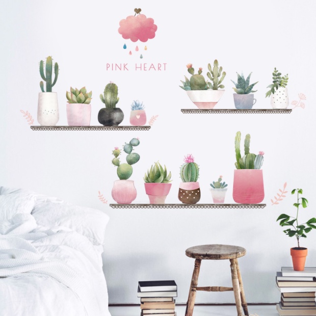 Decal trang trí tường - Những chậu cây xương rồng và sen đá