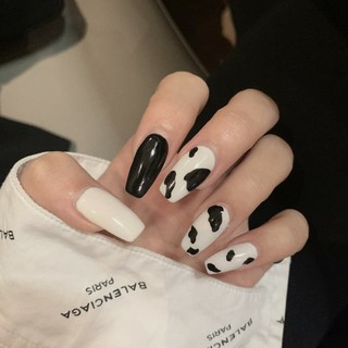 Móng Tay Bò Sữa 24 móng