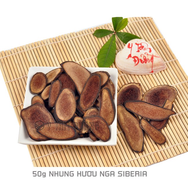 Thang ngâm rượu Sâm Nhung Hải Mã