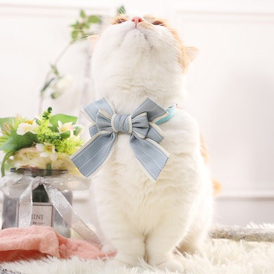 Vật nuôi mèo phụ kiện dễ thương công chúa BOW TIE vật nuôi mèo con thành mèo đồ trang sức mèo cổ áo dễ thương trang trí 