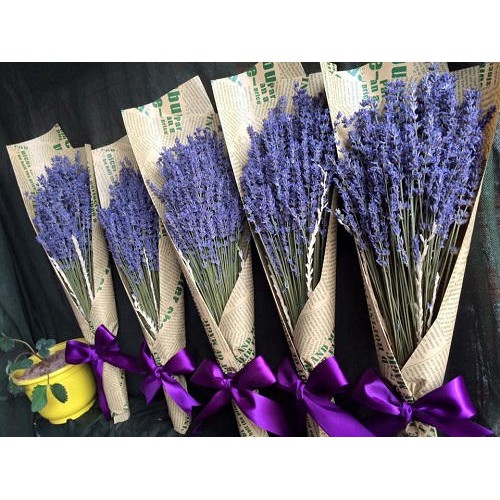 ❤️FREESHIP❤️Hoa Lavender khô nhập khẩu