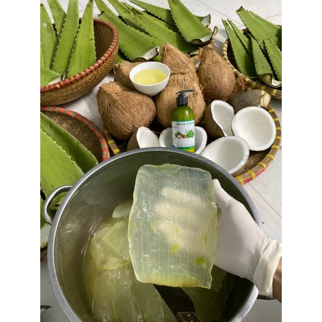 Dầu xả dừa nha đam dưỡng tóc mềm mượt, chắc khỏe