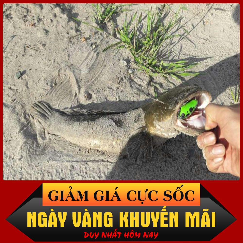 [Siêu Sốc] HD Rat mồi giả Thái Lan câu cá lóc hiệu quả.