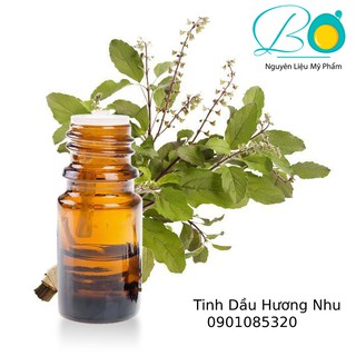 Holy Basil Essential Oil (Tinh Dầu Hương Nhu)