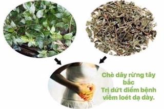 1kg, CHÈ DÂY CHUẨN RỪNG