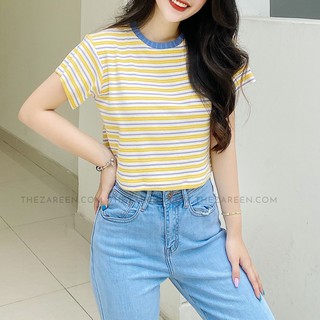 Áo thun ôm croptop bo cổ zareen thu84 sọc vàng