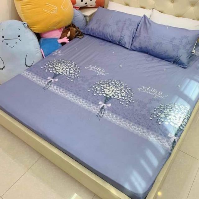 Ga gối chun cotton poly (3 món)