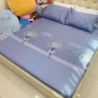 Ga gối chun cotton poly
