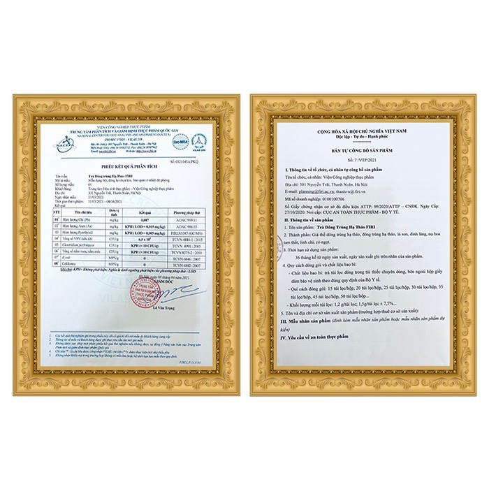 Trà Đông trùng hạ Thảo - Hàng chính hãng -  Viện công nghiệp thực phẩm