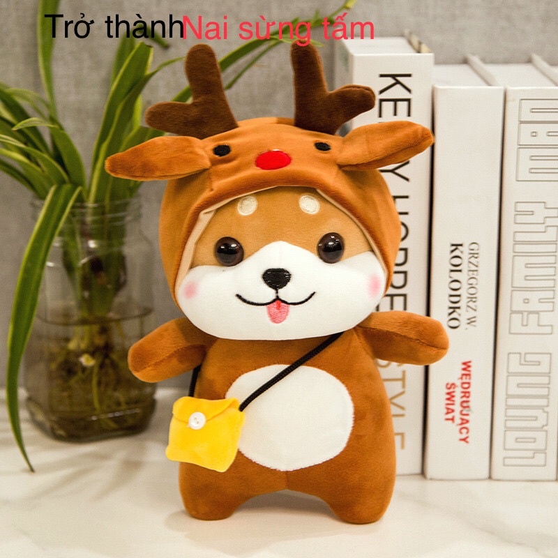 Gấu Bông - chó Shiba Inu biến hình thành Hổ con đáng yêu