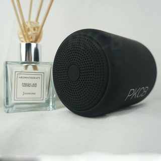 Loa Bluetooth Mini PKCB42 120