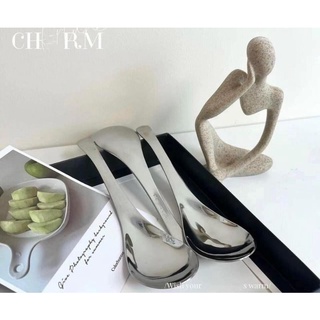 SET 5 THÌA INOX ZWILLING