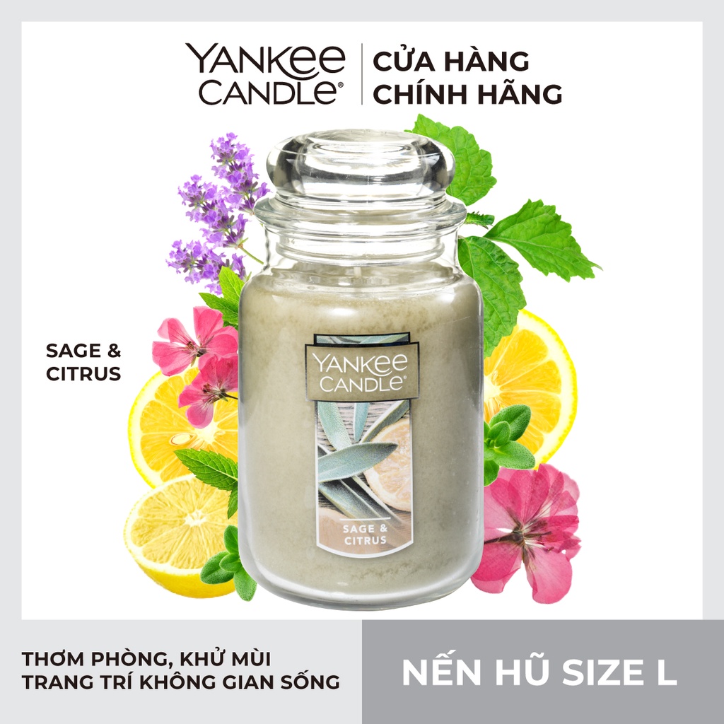 Nến hũ Yankee Candle size L - Sage &amp; Citrus (623g)