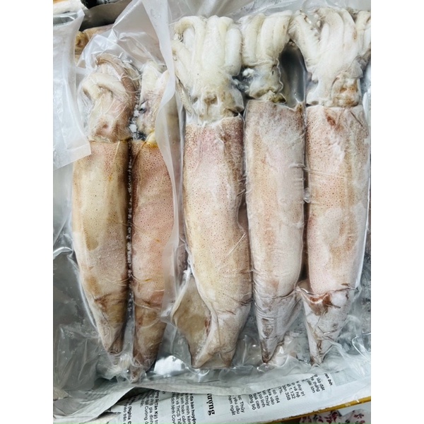 MỰC ỐNG 1 KG