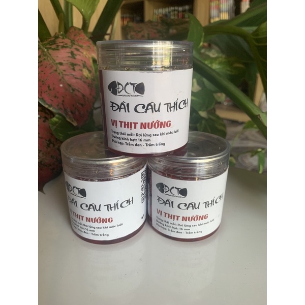 Hạt đan câu cá Đài Câu Thích chuyên trắm đen