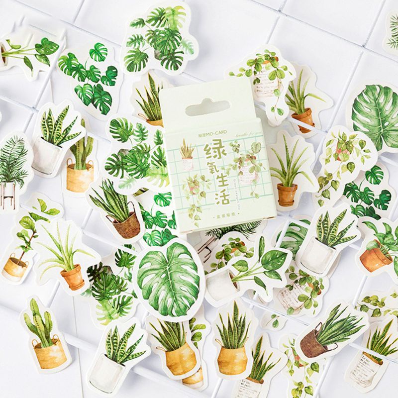 Bộ 45 Miếng Dán Hình Chậu Cây Dễ Thương Dùng Trang Trí