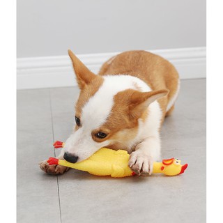 🐥🐥 GÀ ĐỒ CHƠI 🐥🐥 DÀNH CHO THÚ CƯNG