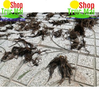 Rễ bèo tây (rễ lục bình) 500g