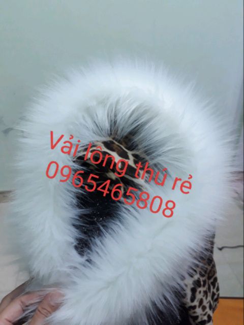 Viền mũ áo khoác